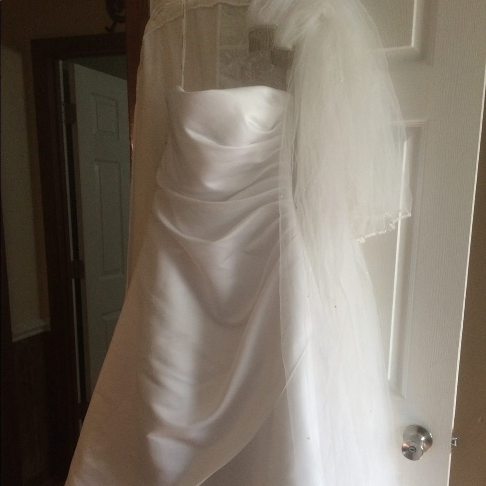 Wedding dress and veil